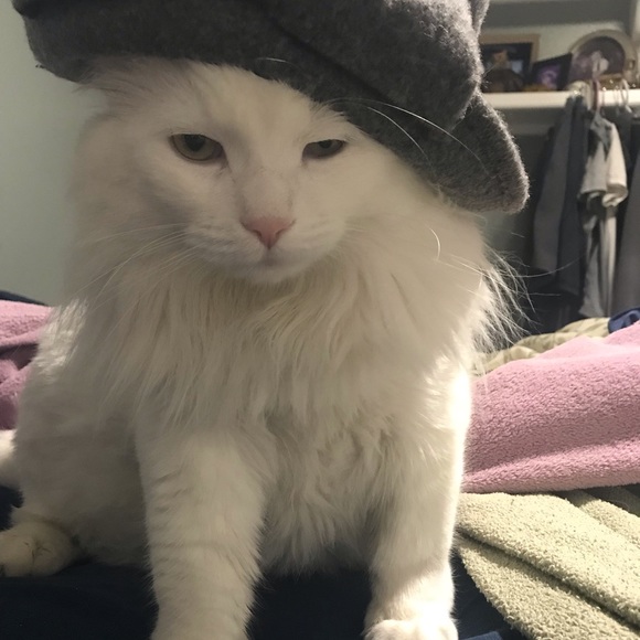 Meet your Posher, Sandra - Picture 1 of 1